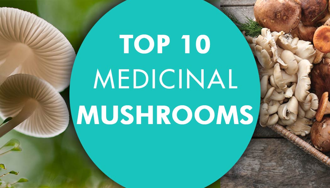 Blog title: "Top 10 Mushrooms for health" with images of mushrooms 