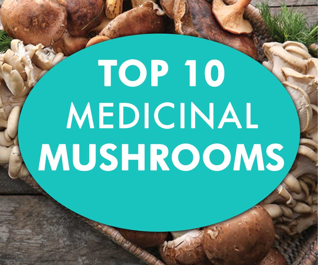 Image of mushrooms with copy "Top 10 Medicinal Mushrooms"